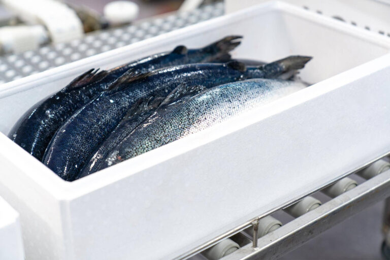 Nytt samarbeid vil kartlegge strømmen av fiskeemballasje i Asia