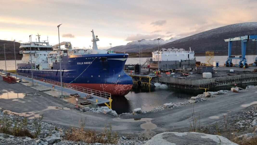 462129363_559778306731582_88601155102952648_n