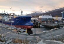 Slår seg sammen og danner Havbruksnettverk Nordland