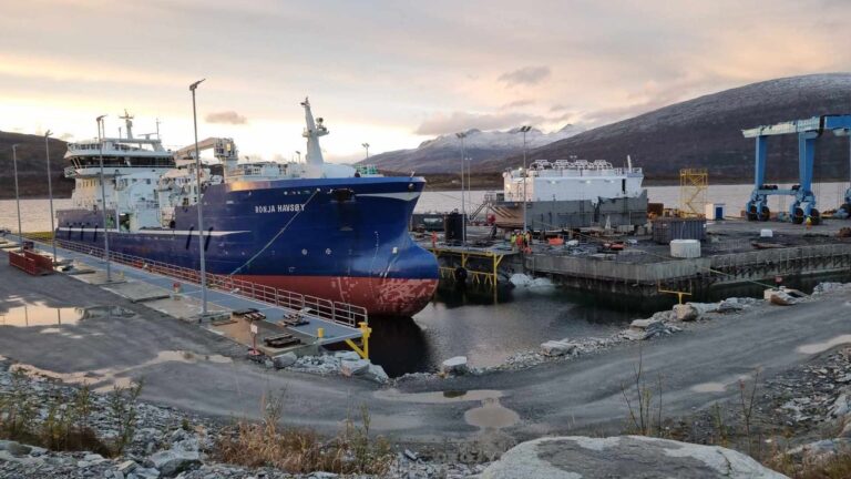 Slår seg sammen og danner Havbruksnettverk Nordland