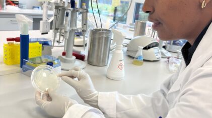 Forsker Letemichael Negash Welekidan har dyrket fram bakterien Renibacterium salmoninarum for å undersøke bakteriens egenskaper.