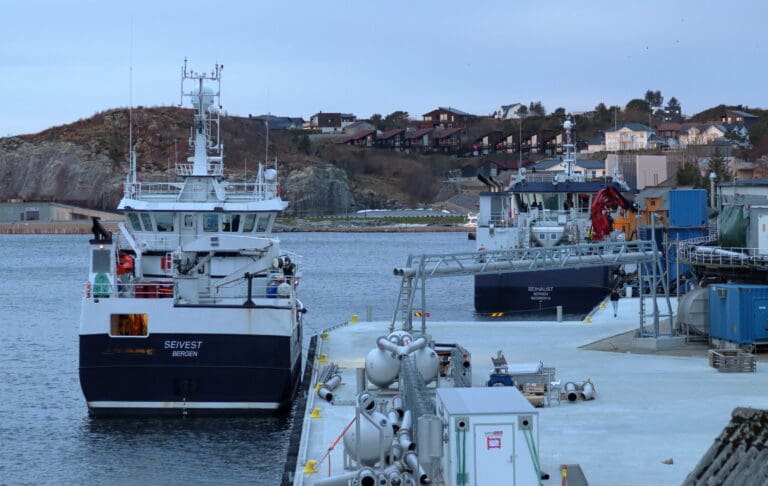 Mann i 30-årene funnet livløs i sjøen