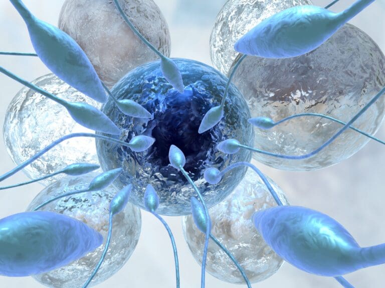 Bluefront kjøper 80 prosent av Cryogenetics