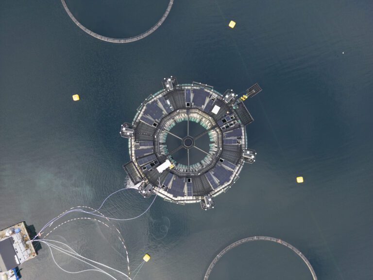 Første fullskalatest av Marine Donut med 195.000 laks. Her er resultatene