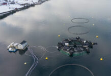 – Ti år med utvikling gir resultater