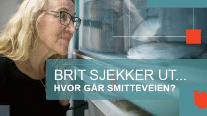 SH Digital annonse – WORKSHOP BERGEN – 980×300 – Ilaks