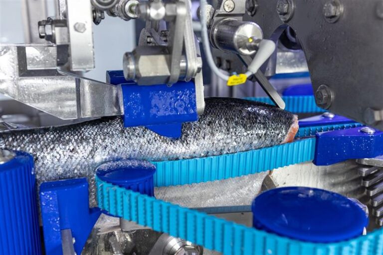 Sotra Fiskeindustri investerer i ny fileteringslinje fra Marel
