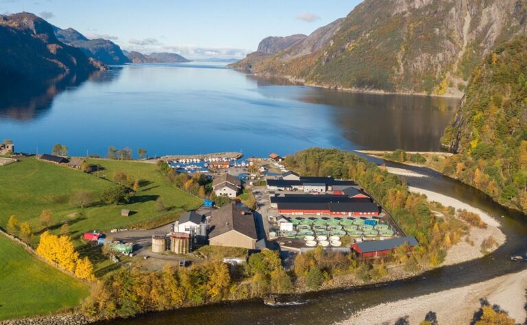 Tapte ankesak mot Rogaland Fjordbruk og Cargill: Må punge ut over fem millioner i saksomkostninger