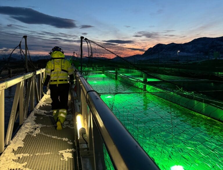Gigante Salmon satser på nanobobler for å forbedre oksygeneringen ved Lille Indre Rosøy 