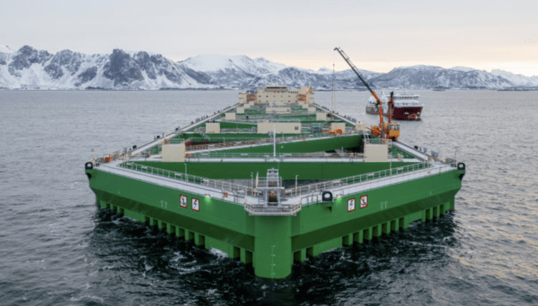 Nordlaks satt under lupen til Mattilsynet. Flere avvik ble avdekket