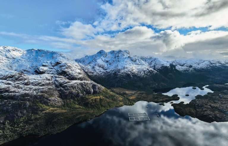 Dette kan snu den negative veksttrenden i Chile