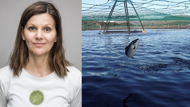 – Høy dødelighet må ikke lønne seg