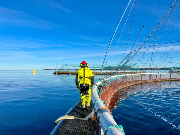 Ønsker HMS-tiltak i Havbruksmeldingen: – Det må stilles tydelige krav til sikkerheten