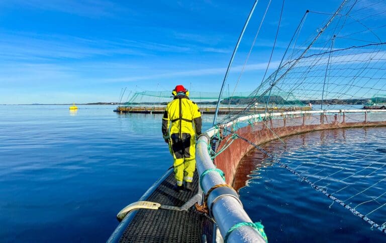Ønsker HMS-tiltak i Havbruksmeldingen: – Det må stilles tydelige krav til sikkerheten