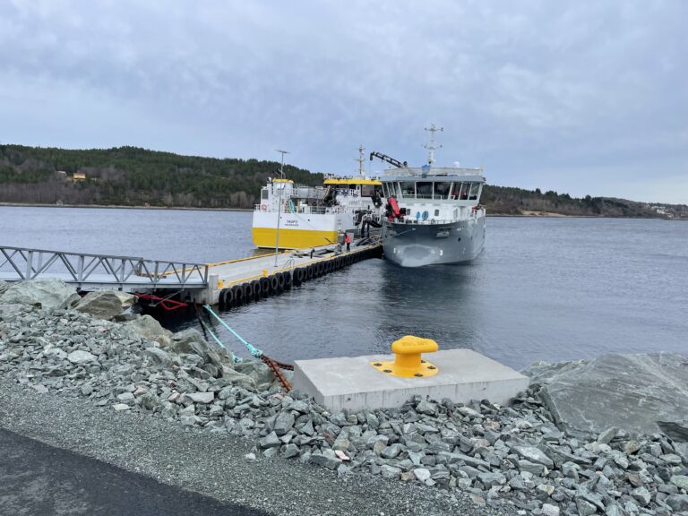 Derfor bruker Mowi bløggebåter ved slakteriet på Jøsnøya