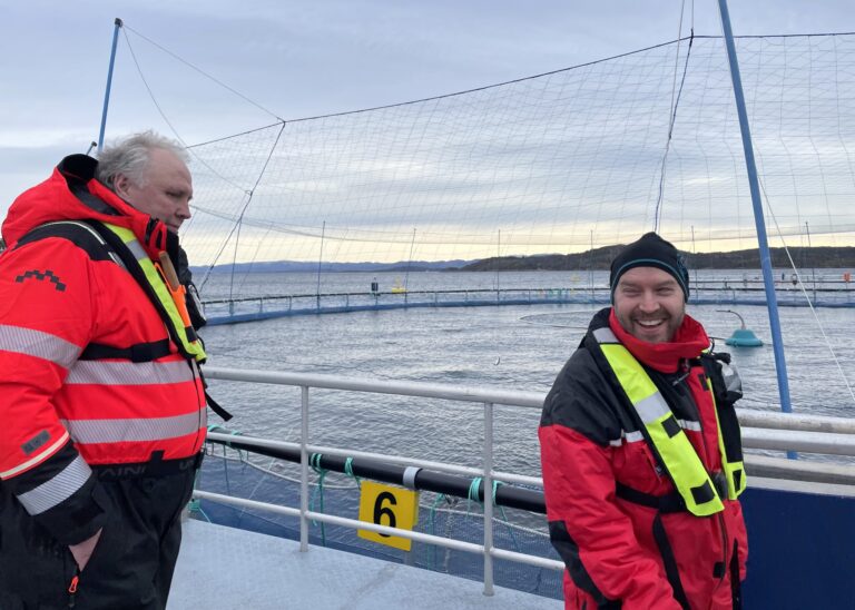 Nå tester også Mowi nedsenkbare merder. Her er resultatene så langt