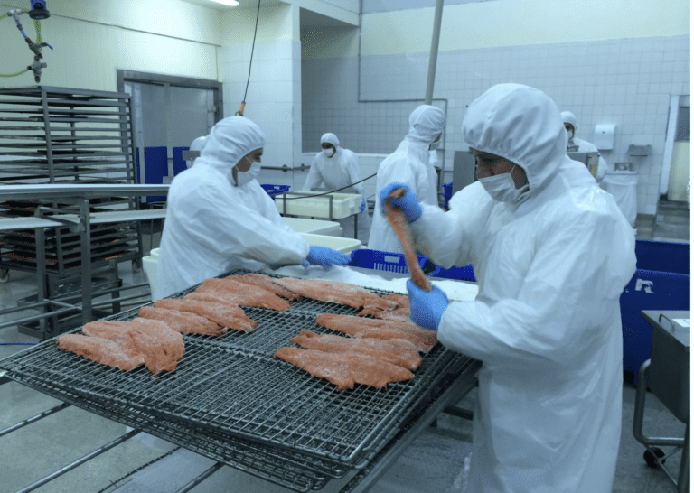 Listeria-smittet norsk laks havnet på dansk helseinstitusjon