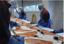 Ny prisknekk: – Ingen quick fix