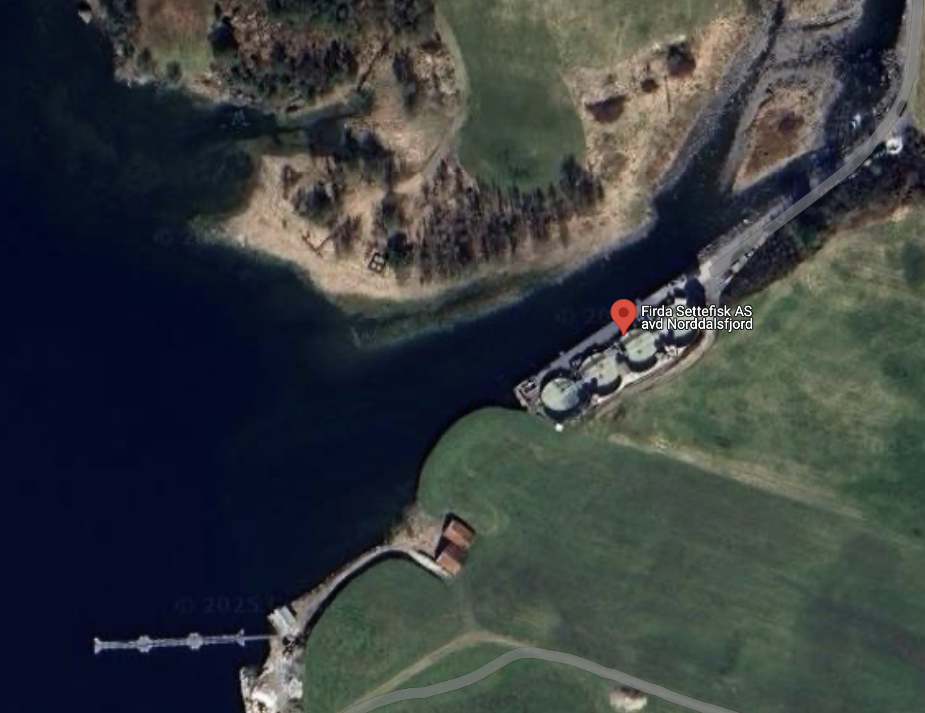 Fiskeridirektoratet vil bøtelegge to selskaper i Firda Seafood Group ...