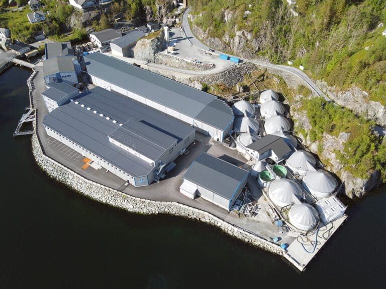 Sævareid Fiskeanlegg doblet – og legger opp til videre vekst