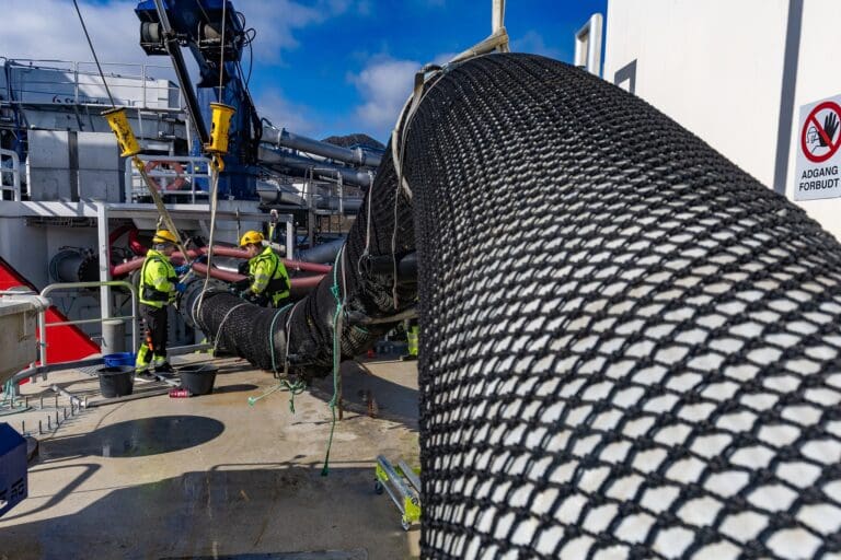 Gigante Salmon har slaktet ut første utsett: – Det er en milepæl