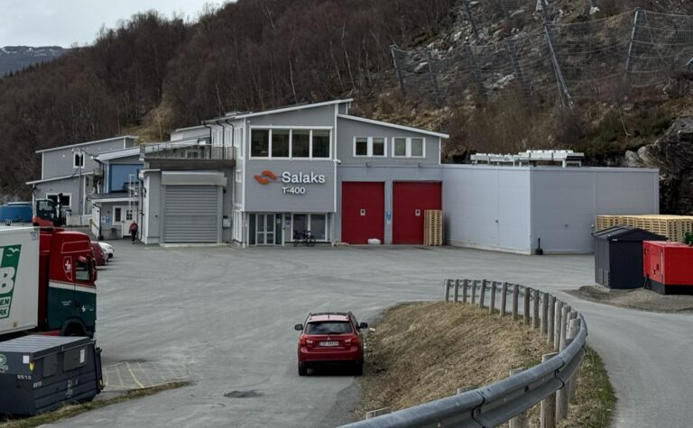 Algene har inntatt ventemerd: – Har mistet 30 tonn med fisk