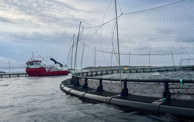 Får 50,8 millioner kroner i støtte: Pengene skal brukes til gjenvinning av gamle merder