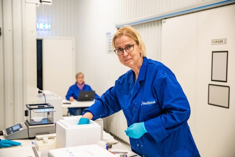 Nofima: CO2 er en årsak til nyrestein hos oppdrettsørret