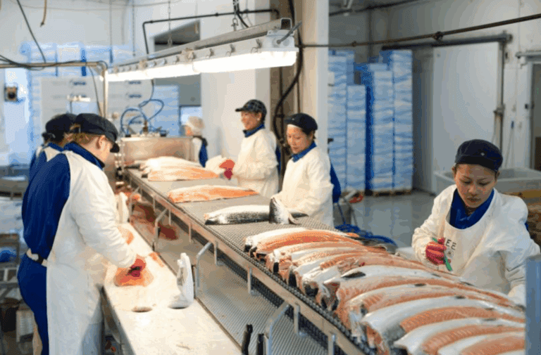Vågen Seafood trosset fall i omsetningen: Økte lønnsomheten