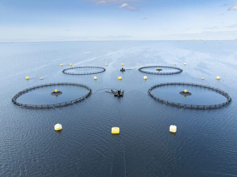 Nova Sea og Smir satser sammen på dypdrift: – Et viktig skritt i utviklingen