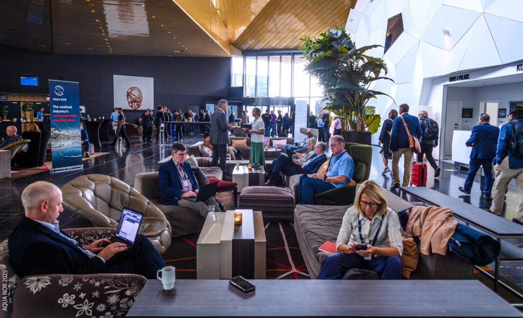 536276242_1172691558235213_8398403950912621439_n