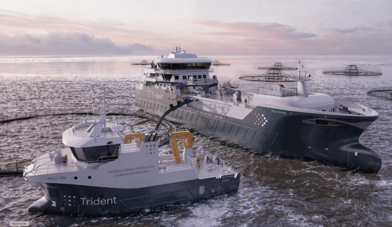 Trident om klimakravene: – Tidsplanen er urealistisk og regningen blir skyhøy