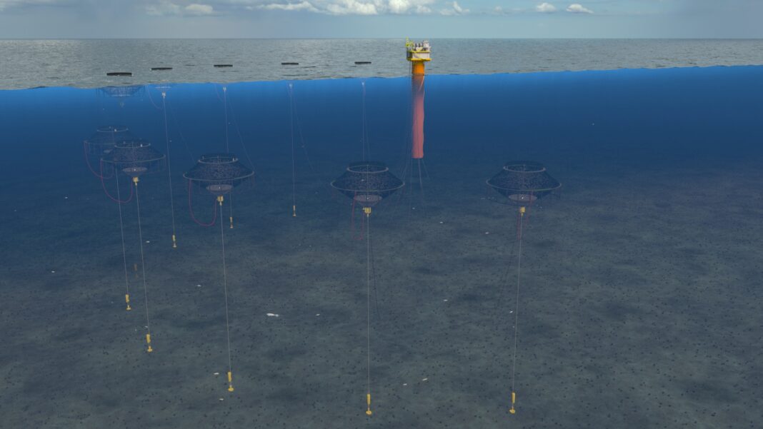 Blar Octopus løsning - Norskerenna Sør