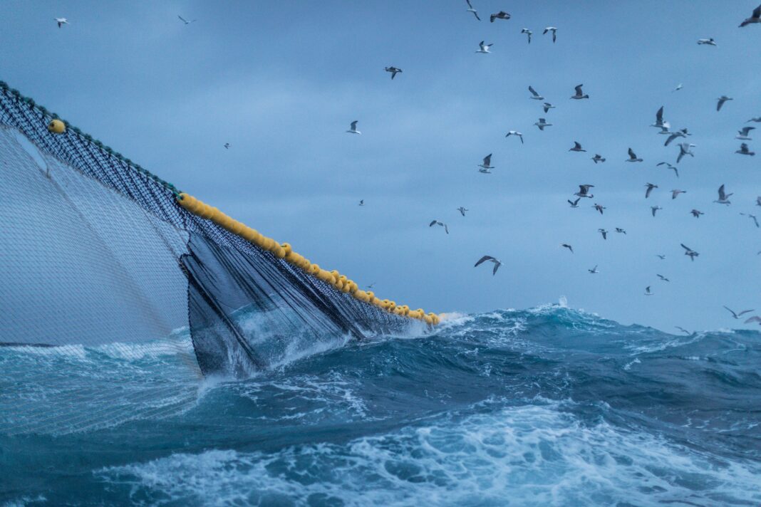 484123865_1042177564611939_4966551858678828562_n