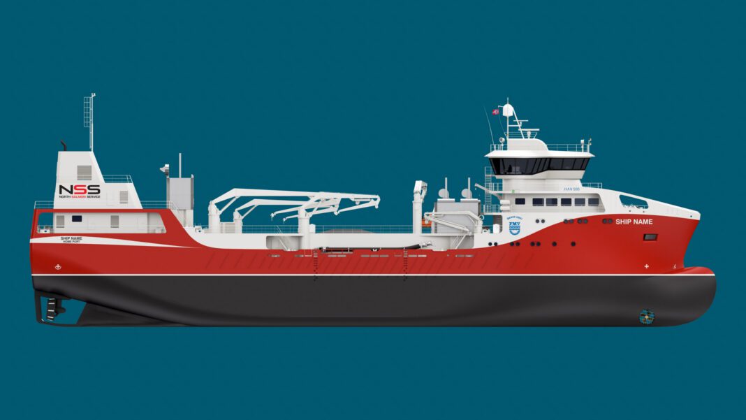 HAV595_FMV063 blå bakgrunn