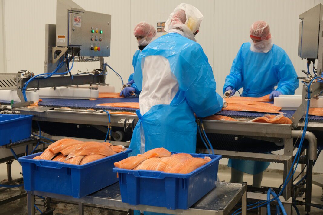 Filetfabrikken. Foto: Mats Mørk