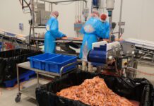 Filetfabrikken har sendt permitteringsvarsler