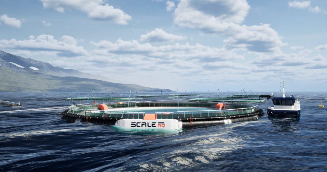 ScaleWorld Heimdall-0026