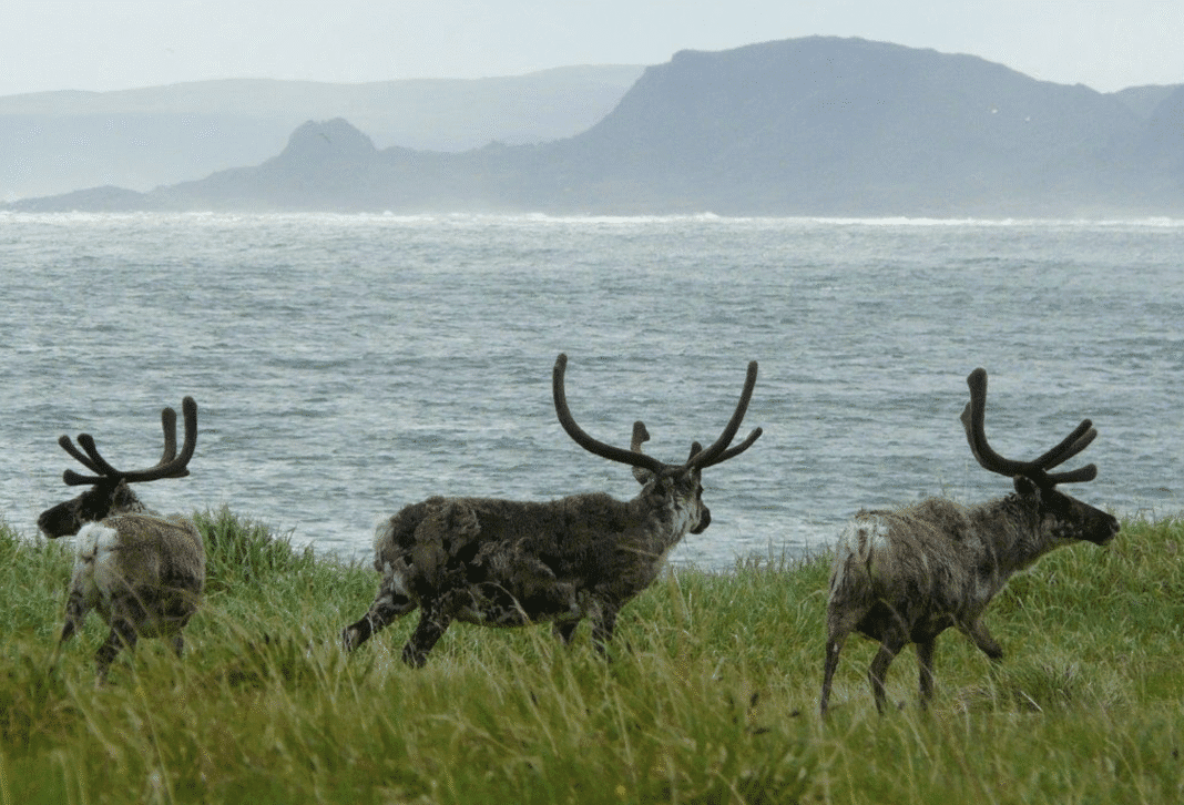 Skjermbilde 2025-10-09 kl. 09.58.13