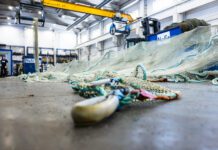 Det finnes håp for plasten i havet