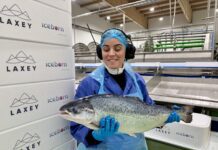 Her er Laxeys første landbaserte laks