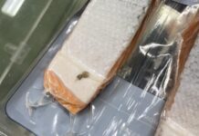 Fant lakselus på frossen porsjonspakning