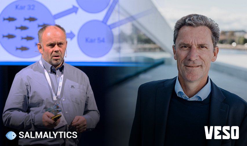 VESOxSalmalytics_bilde