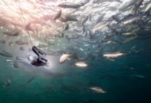 Britisk investeringsselskap kjøper aksjemajoriteten i Aquabyte