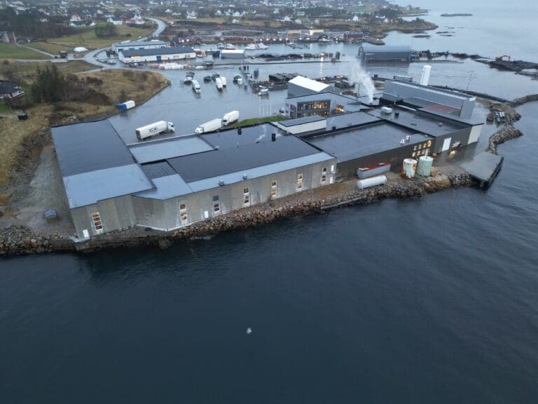 Driftsmessige forbedringer løftet BEWI