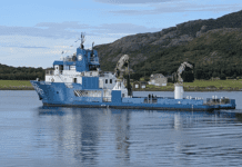 Fish Care Solutions permitterer halve arbeidsstokken: – Avlusningssesongen i år har ikke gått som forventet