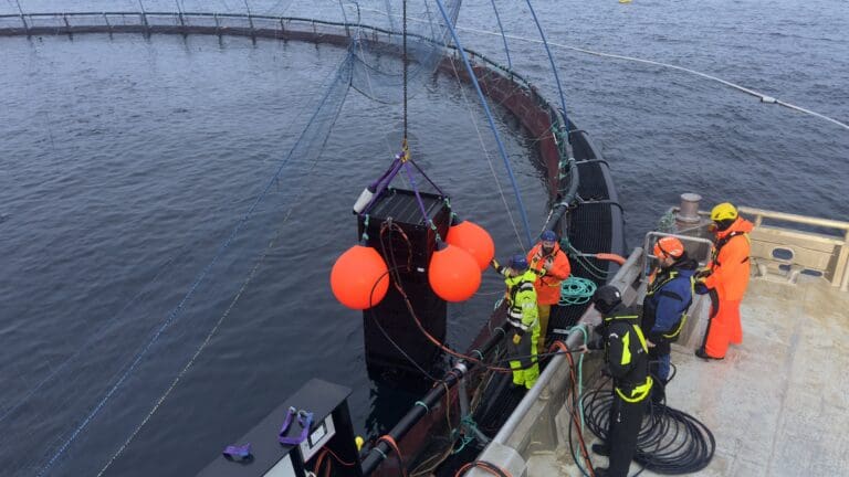 Starter pilottest av ny UV-basert renseenhet: Vil nøytralisere luselarver før de når fisken 