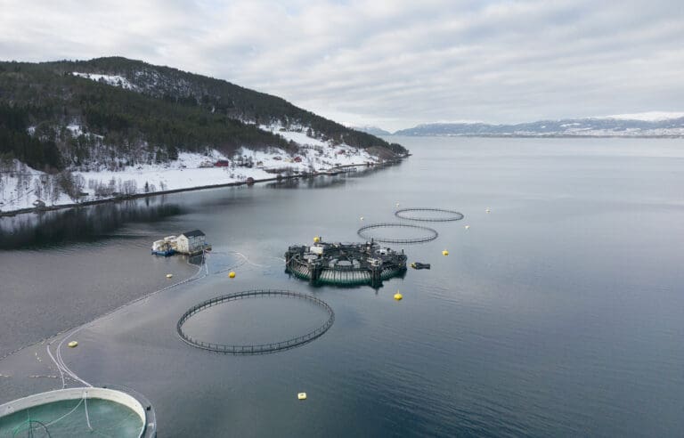 SalMar vil sjøsette en million smolt idet Marine Donut rigges for ordinær drift