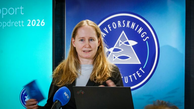 – Høg vasstemperatur, meir fisk i sjøen og hyppigare avlusing har forverra situasjonen