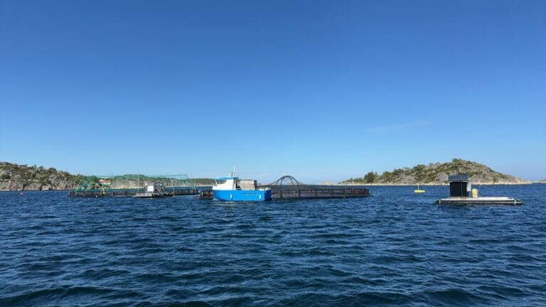 Store verdinedskrivinger sendte Hellesund Fiskeoppdrett i minus